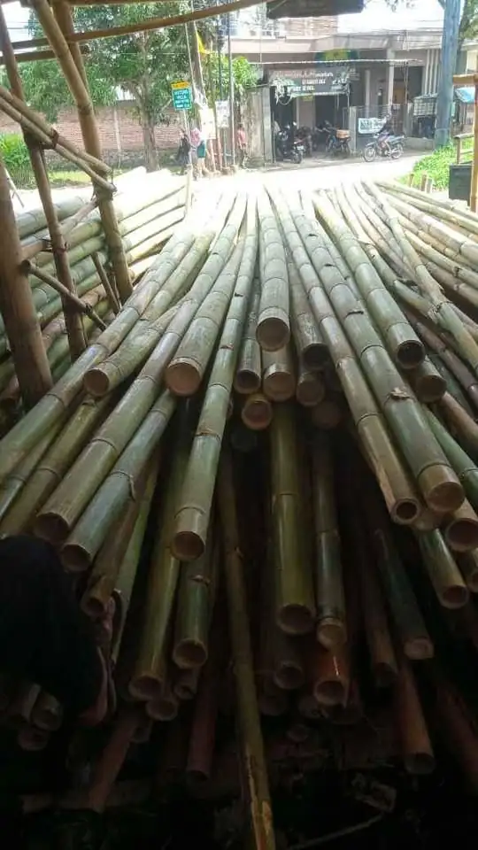 Bambu Gombong