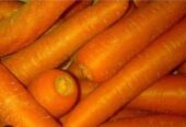 Monggo silah kan wortel 🥕 sayur dari Malang