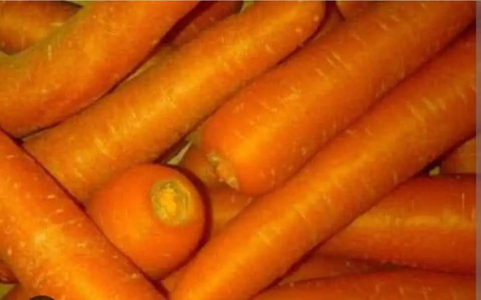Monggo silah kan wortel 🥕 sayur dari Malang