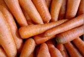 Monggo silah kan wortel 🥕 sayur dari Malang