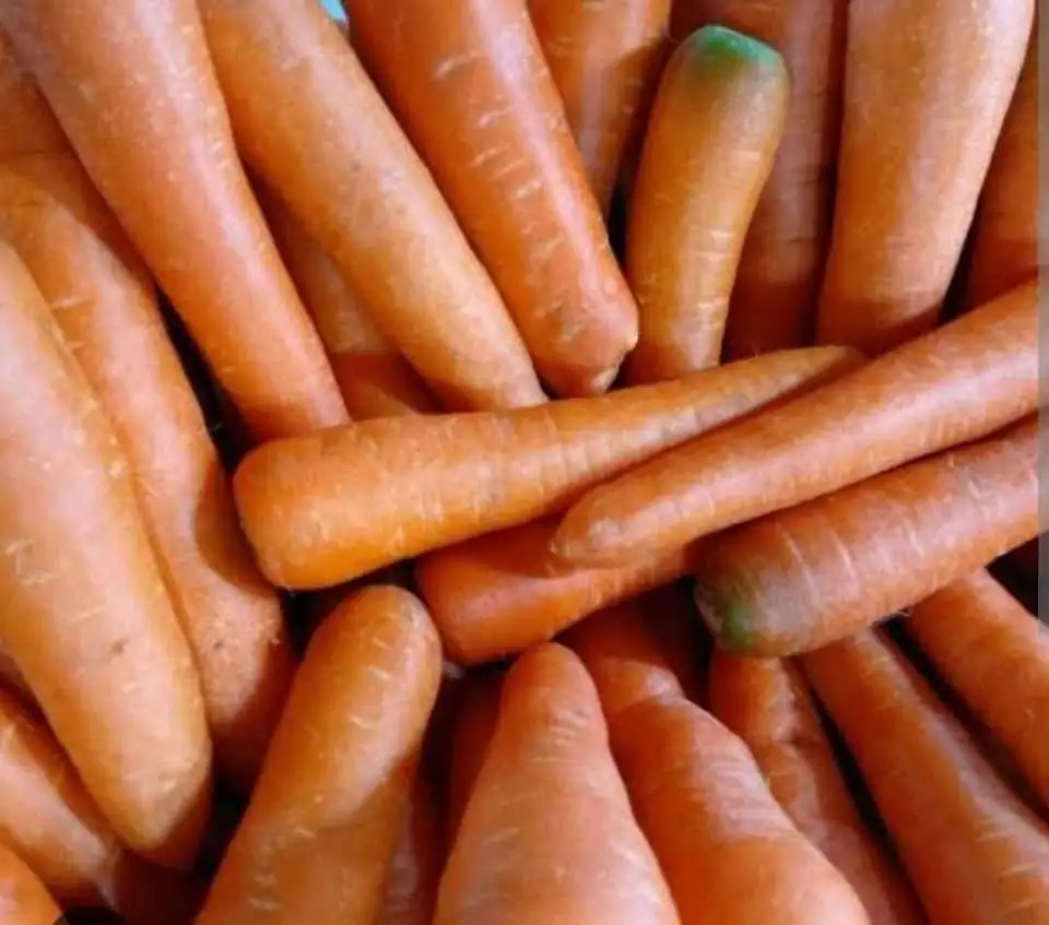 Monggo silah kan wortel 🥕 sayur dari Malang