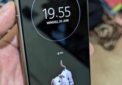 489374918_891406959860318_3510506909505216649_n