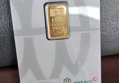 507331693_1684490208938692_5999342918275143263_n