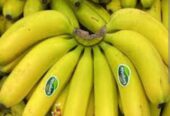 Promo pisang cavendish Sunpride