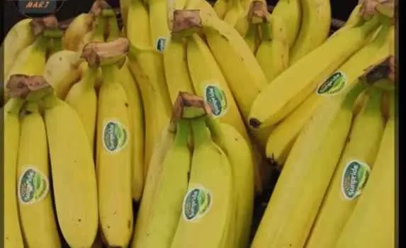 Promo pisang cavendish Sunpride