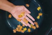 pacman frog murahhh motif juga sangat langka