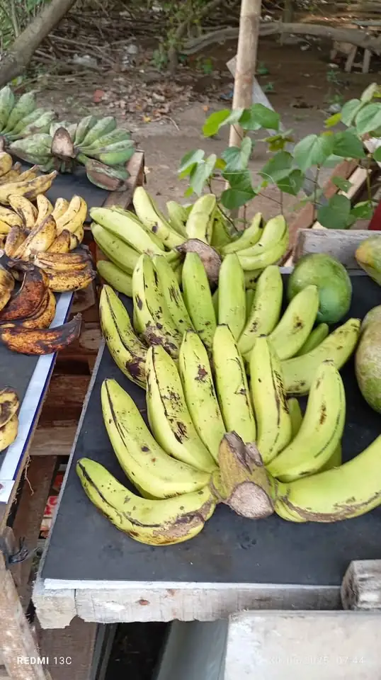 Pisang Ambon Harga mulai 20000