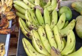 Pisang Ambon Harga mulai 20000