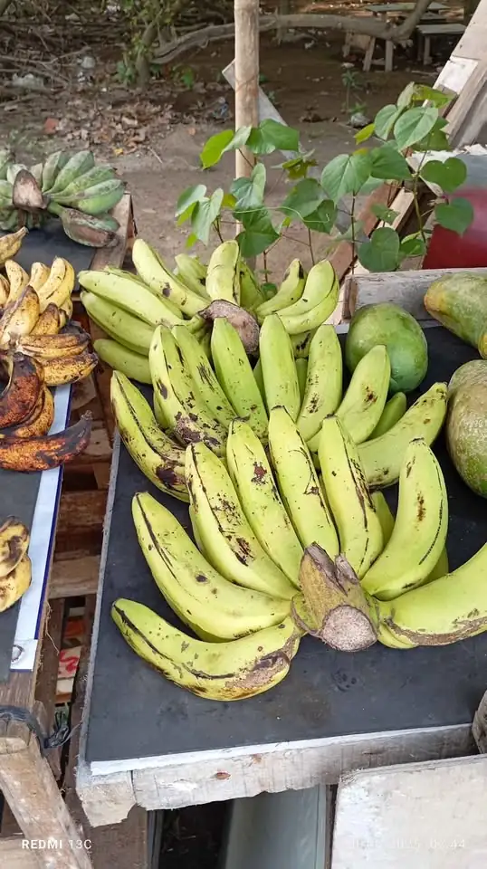 Pisang Ambon Harga mulai 20000