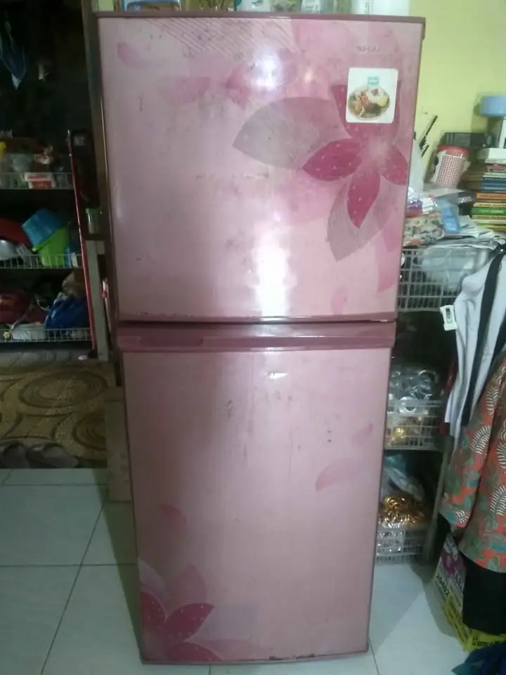 Kulkas Sharp 2 Pintu