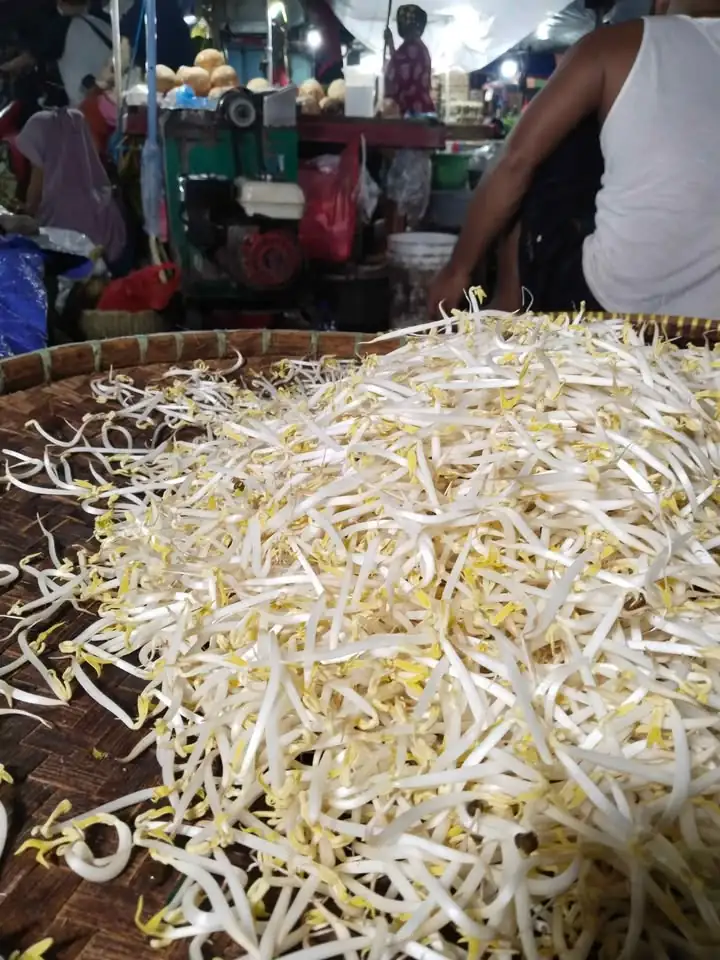 Tauge Jepang/ tauge bangkok