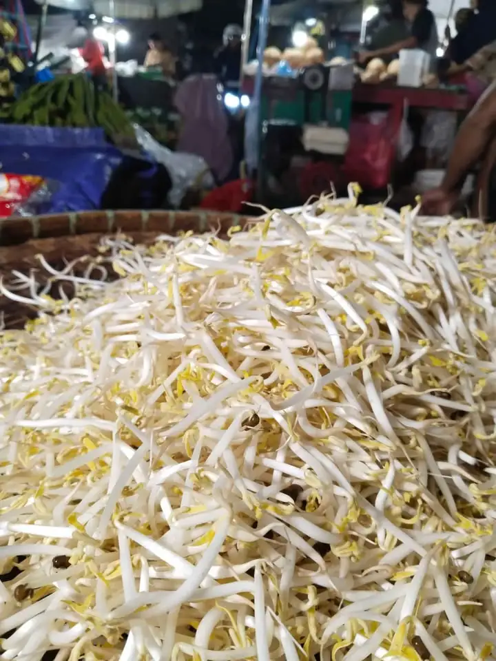 Tauge Jepang/ tauge bangkok