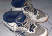 sepatu voly asics