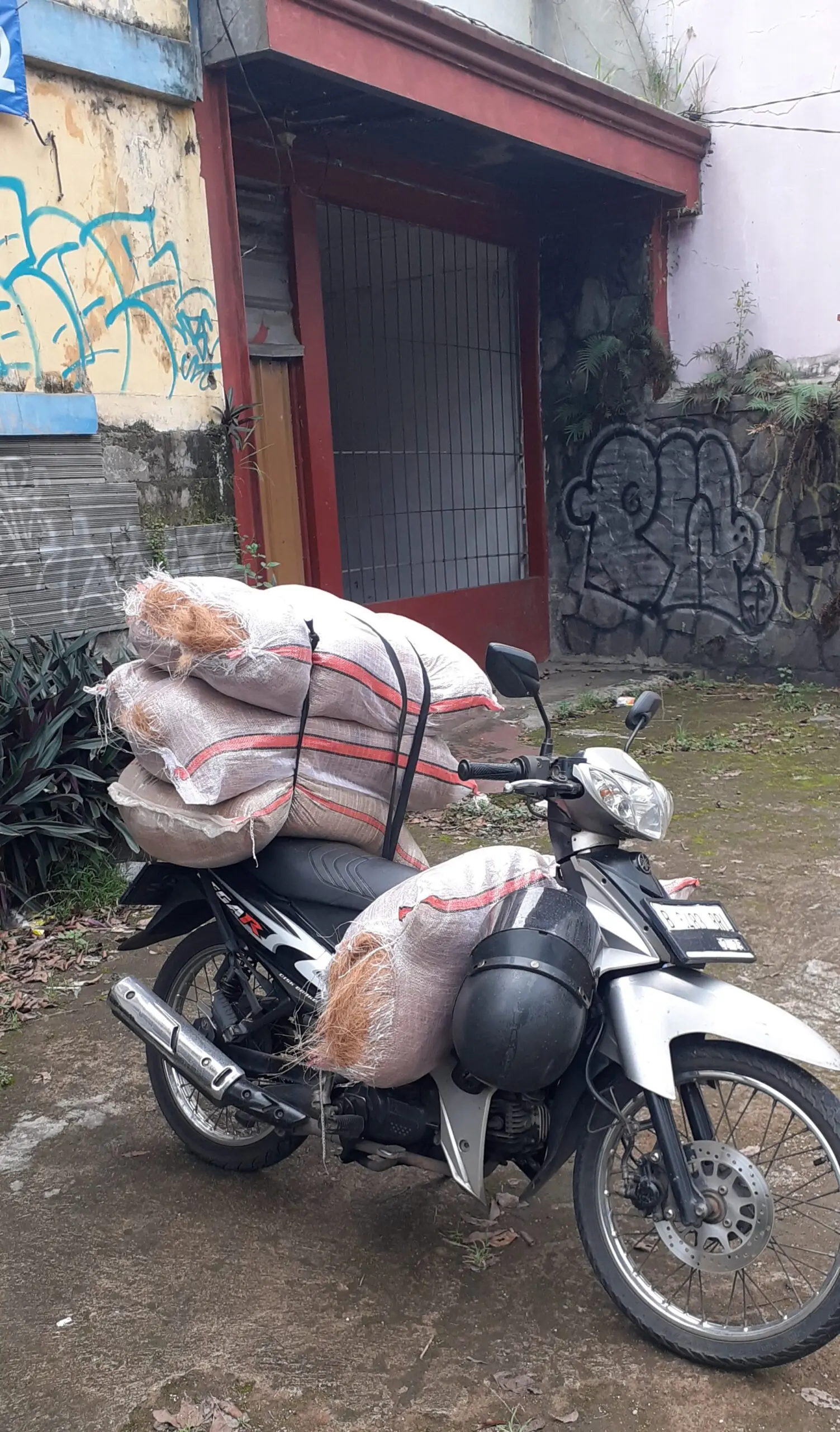Serat Sabut Kelapa Coco Fiber untuk Media Tanam