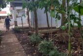 DIJUAL RUMAH bangunan baru!