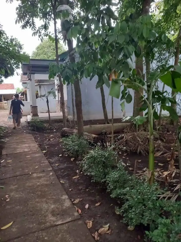DIJUAL RUMAH bangunan baru!