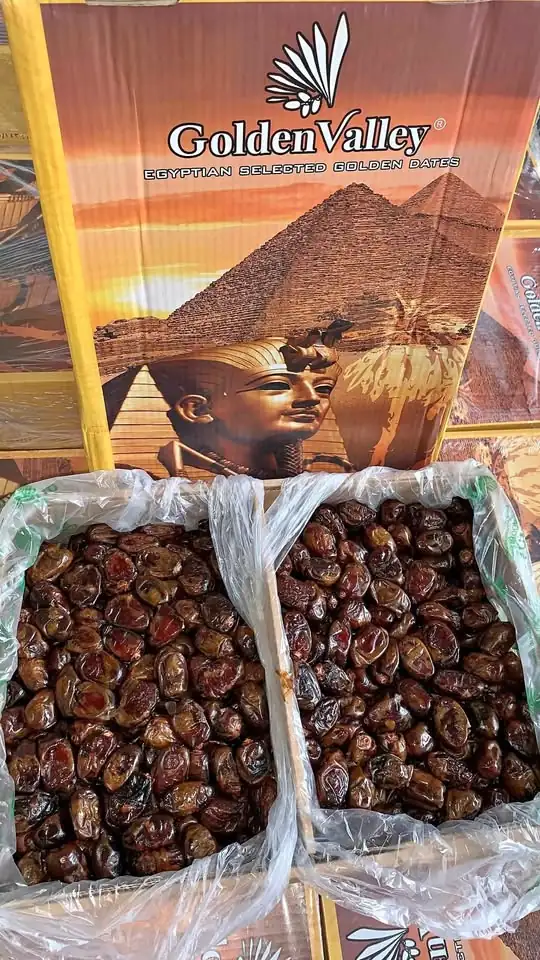 Kurma Mesir Golden Valley 10Kg Oleh Oleh Haji Umroh