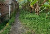 Rumah DIJUAL Banyumas