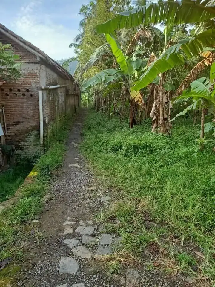 Rumah DIJUAL Banyumas