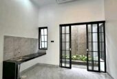 Pintu swing