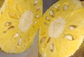 Buah Nangka Segar