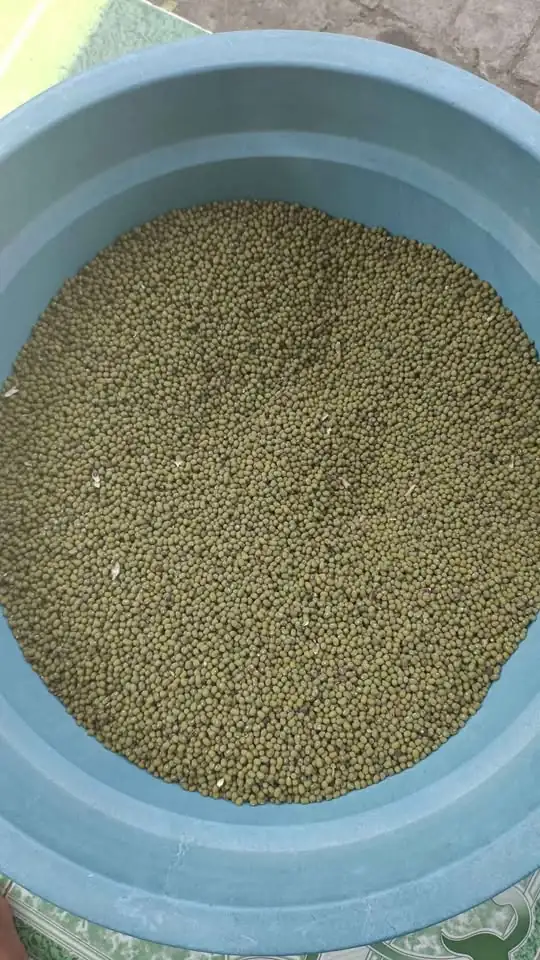Kacang hijau butek 18.000