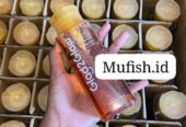 GLAD2GLOW MICELLAR WATER YUJA & MOGWORD 300ML