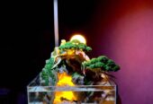 Paludarium diorama penghias ruangan