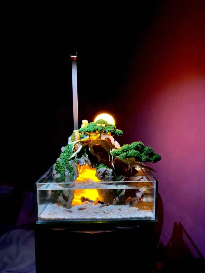 Paludarium diorama penghias ruangan