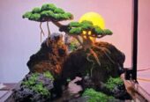 Paludarium diorama penghias ruangan