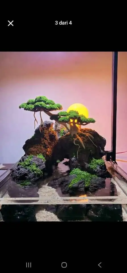 Paludarium diorama penghias ruangan