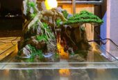 Paludarium diorama penghias ruangan