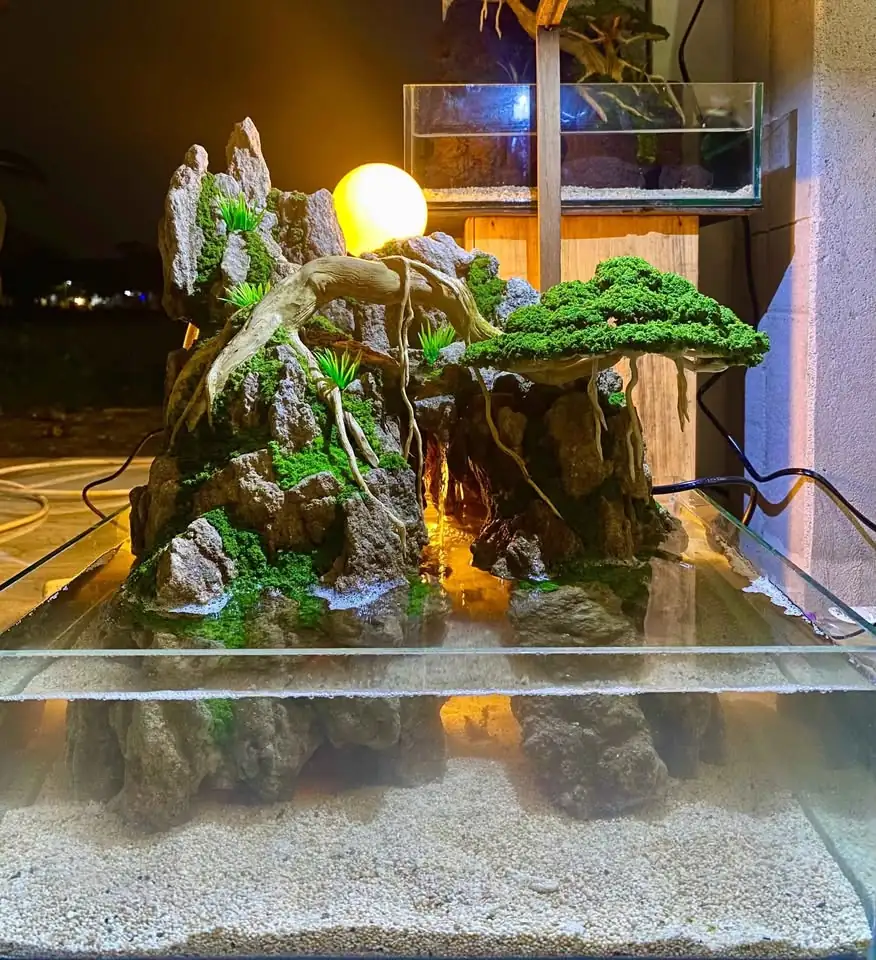Paludarium diorama penghias ruangan
