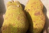 Buah Nangka Segar