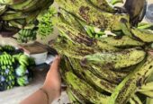 Obral pisang candi buat gorengan