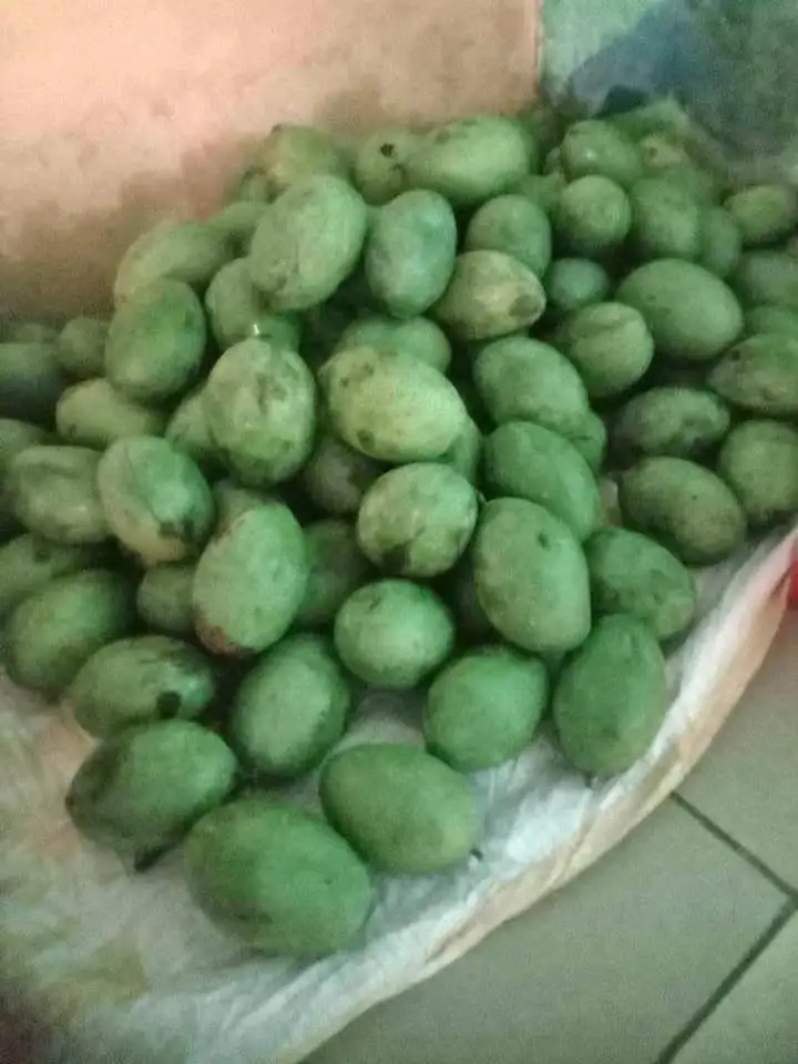 Jual Mangga Manalagi Fresh