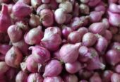 Bawang merah srikayanagan