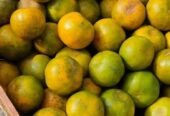 Jual Jeruk Segar Manis