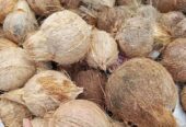 Jual Kelapa Untuk Dibuat Santan