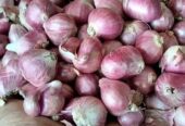 Monggo Bawang merahe