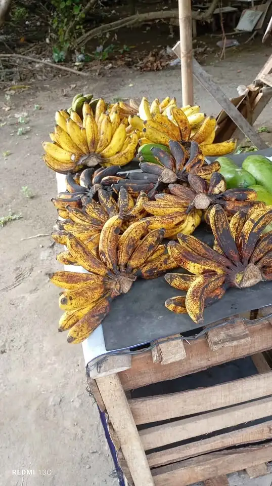 Pisang koja, pisang g susu IDR18,000
