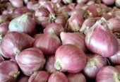 Monggo Bawang merahe