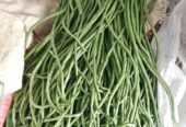 Kacang panjang Fresh IDR5,000