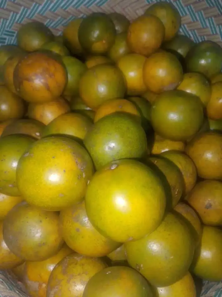 Jeruk peras Madiun Obral kuning