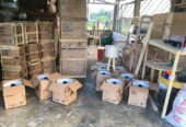 Lampu tidur / lampu hias