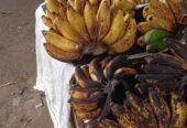 Pisang koja, pisang g susu IDR18,000