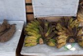 Jual Pisang Susu Murah
