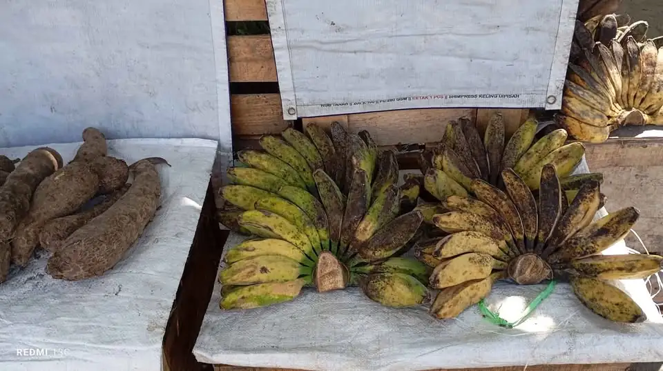 Jual Pisang Susu Murah