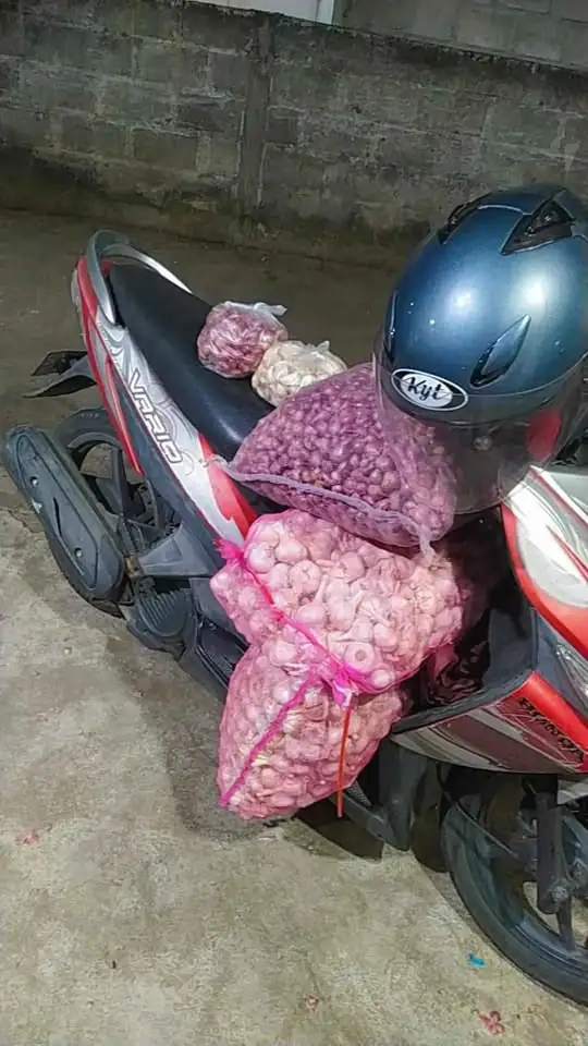 Bawang putih,bawang merah
