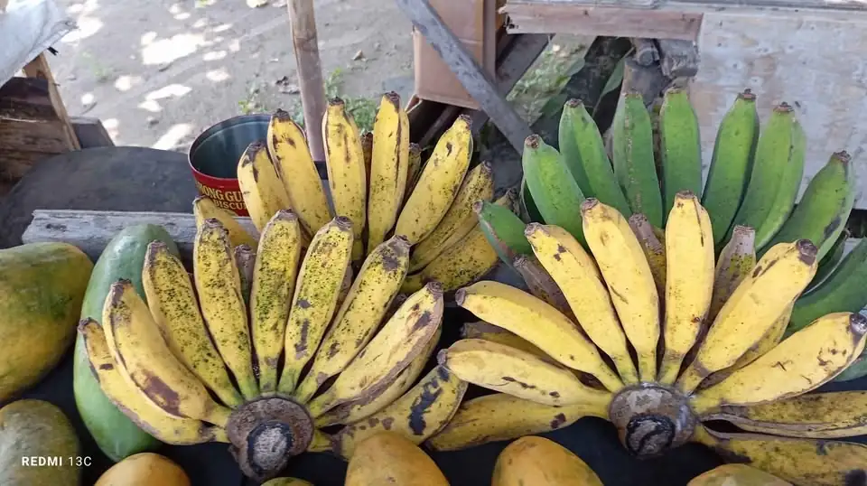 Pisang Rasa suluhan